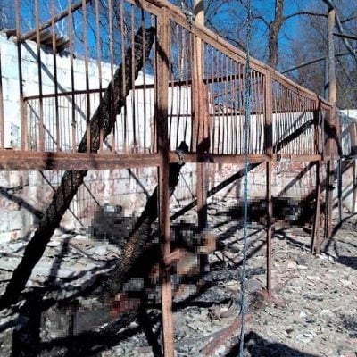 Stables burnt to ground after missiles destroyed it and the horses within
