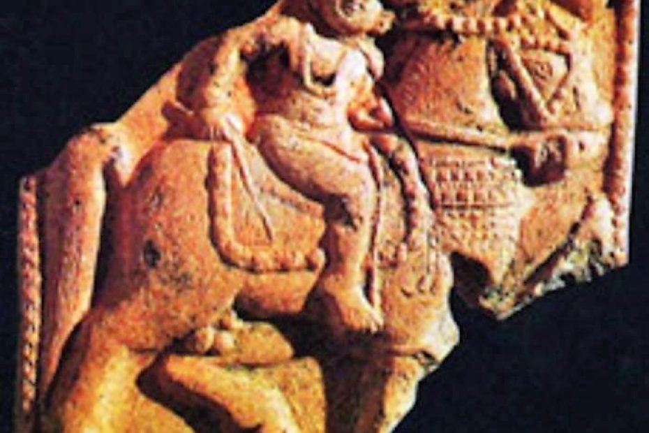 Horses Animalhuman relationship