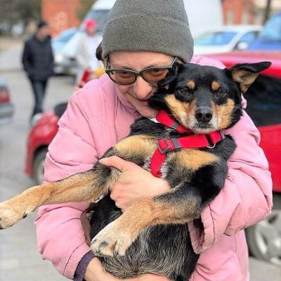 Woman who looked after this dog on the streets of Lviv is pleased and sad at the same time as she hands him over to PETA