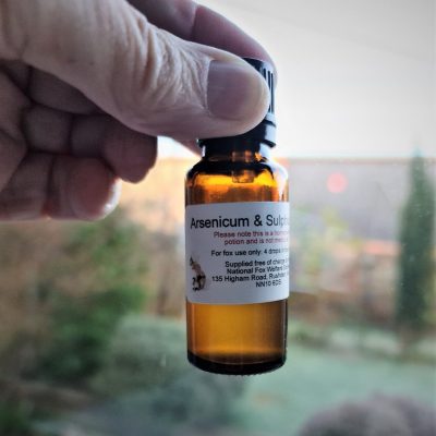 Cure for fox mange. Arenicum & Sulphur 30c