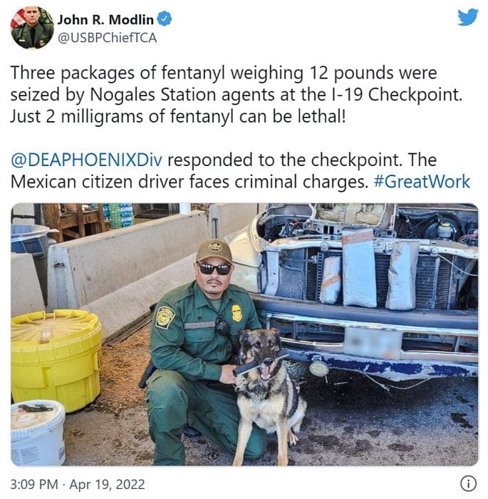 Dog sniffs out enough fentanyl to kill almost 3 million people