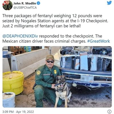 Dog sniffs out enough fentanyl to kill almost 3 million people