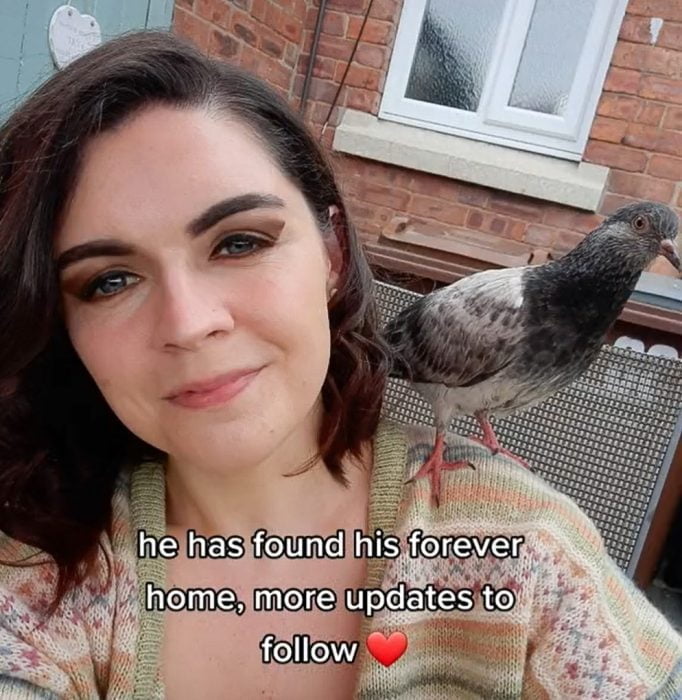 Abused pigeon at pub adopts young woman who likes vintage things