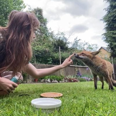 Louisa and her fox. The photograph is by Louisa.
