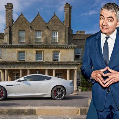 Rowan Atkinson's firework display terrorised cats and dogs and horses