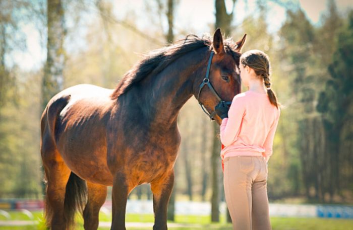 Talking to your horse in melodious tones is the right way