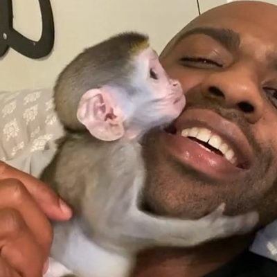 Tiktoker and pet monkey are the best of friends