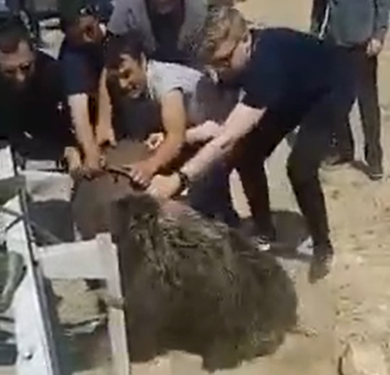 4 guys wrench a large metal container from the head of a bear