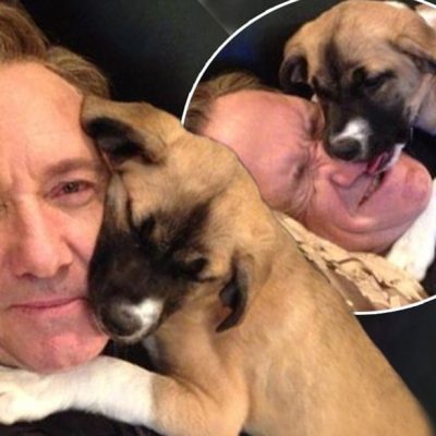 Spacey and his beloved dog Boston, a female who actually adopted him when they met