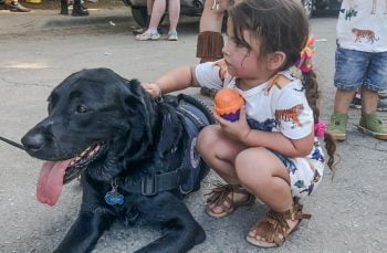 Exon a black labrador was part of the Canine Crisis Response team serving relatives of victims of the Uvalde school shooting