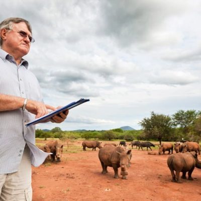 Controversial rhino farmer plans to release 100 animals into the wild