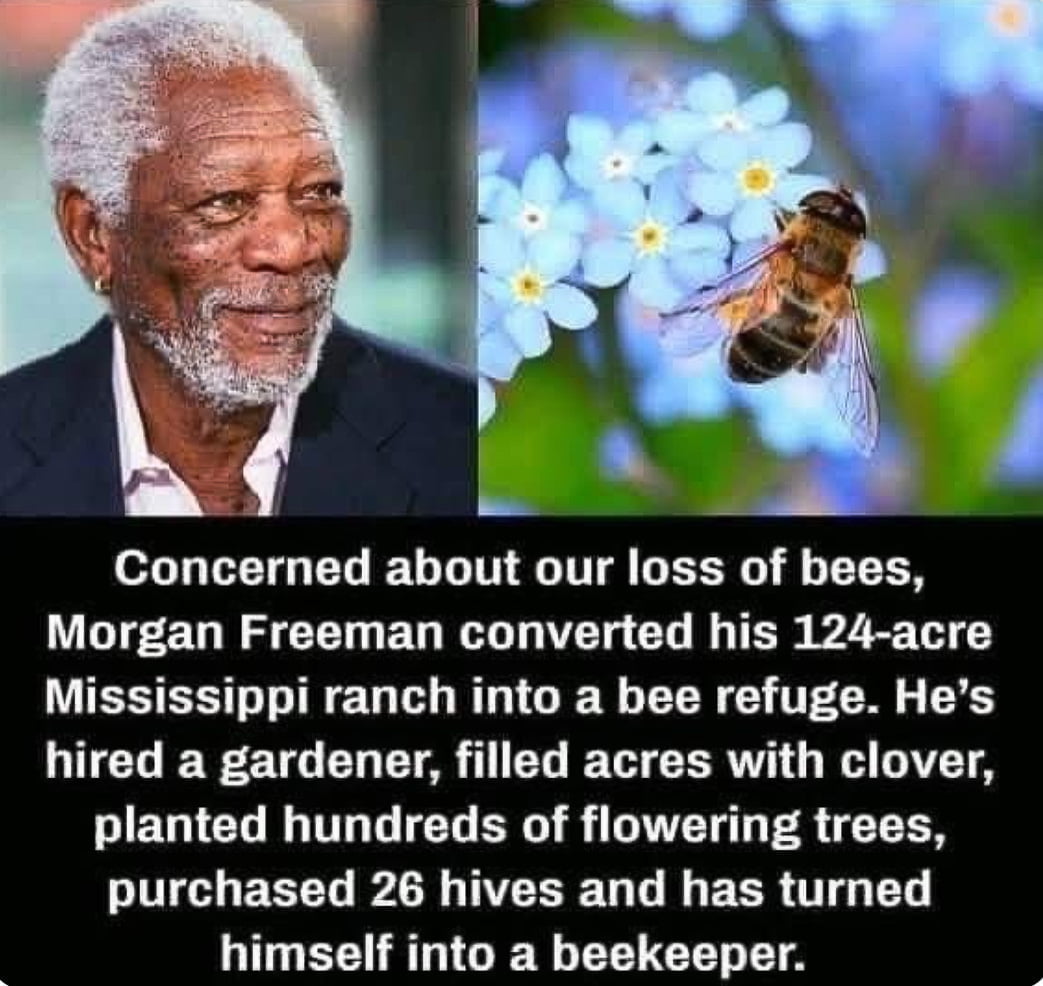 Morgan Freeman is into bee conservation