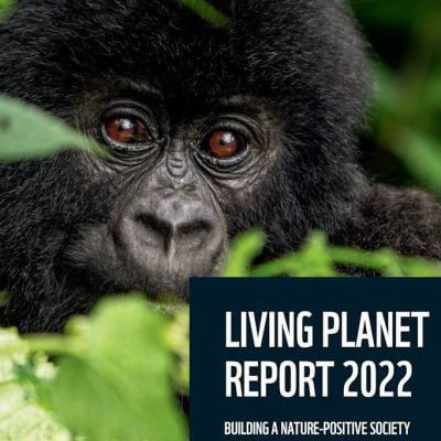 WWF Living Planet report