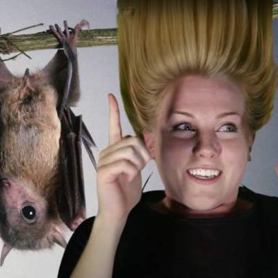 Hanging upside down has different outcomes for bats and humans