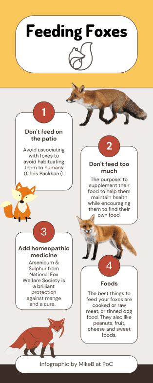 Feeding Foxes Infographic prepared by MikeB at PoC