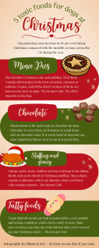 Infographic on toxic foods for dogs at Christmas