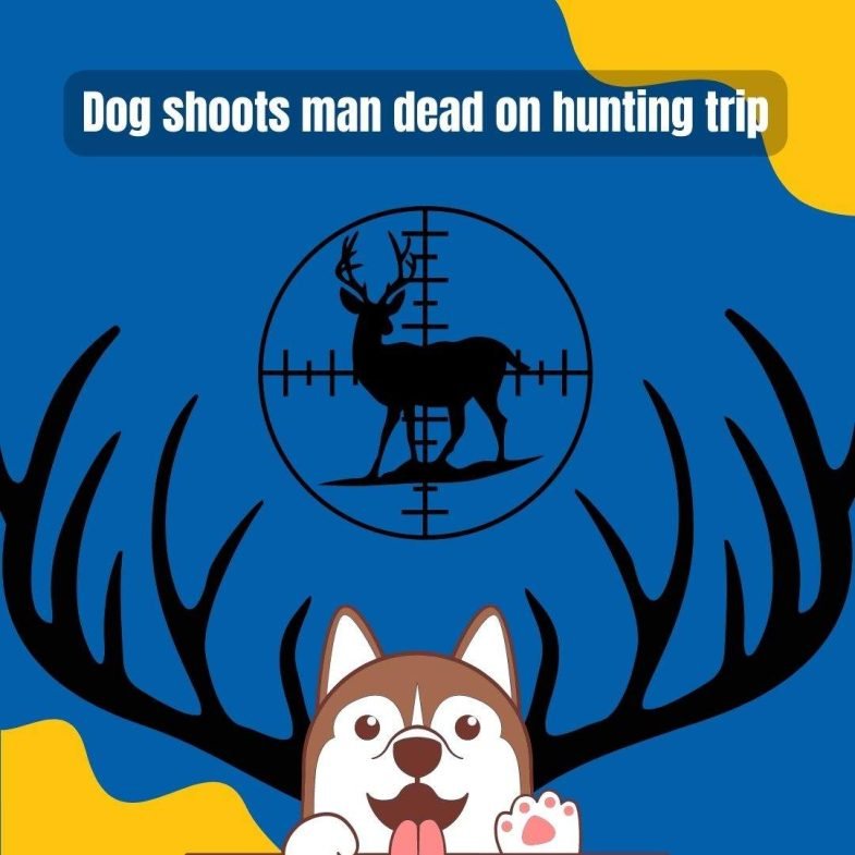 Dog shoots man dead on hunting trip Anthropocentrism