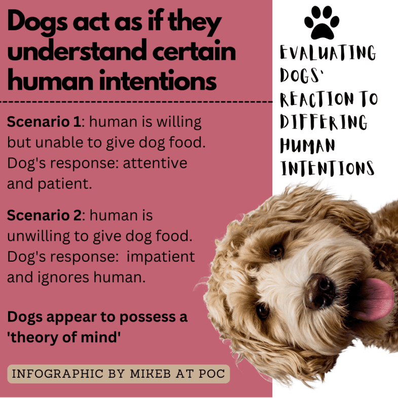 dog intelligence Michael Broad