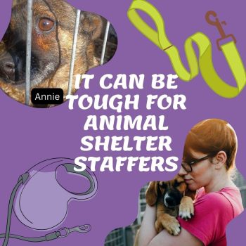 Tough for animal shelter staffers