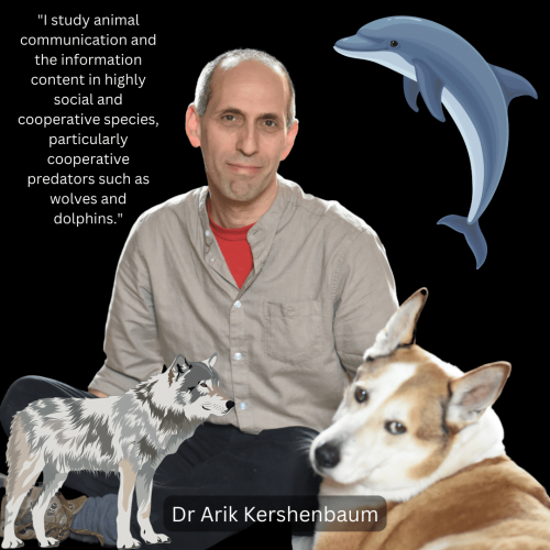 Dr Arik Kershenbaum