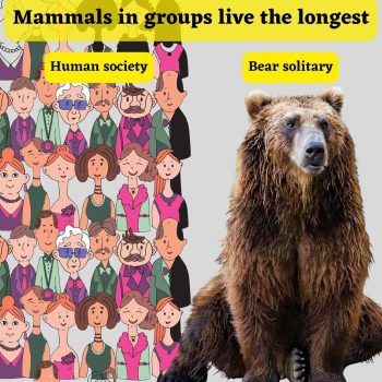 Mammals in groups live the longest