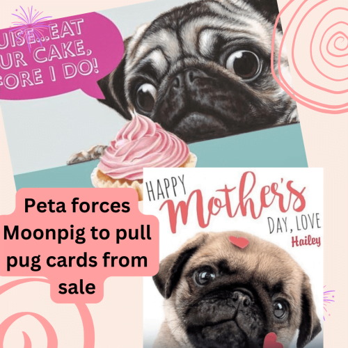 Peta forces Moonpig to pull pug cards from sale