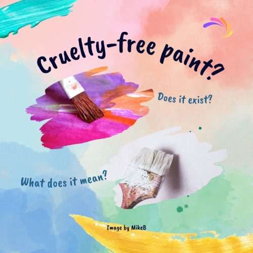 Cruelty-free paint?