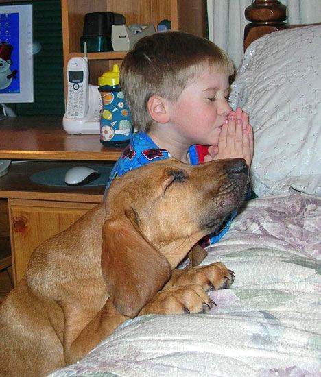 Photo of a dog praying with a boy