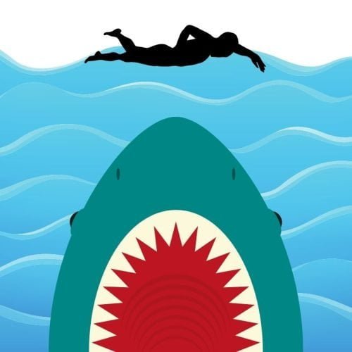 Provoked shark attack