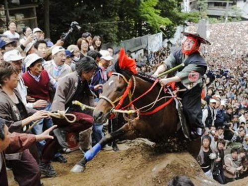 Horse ritual in Japan irritates me because of its inherent cruelty to animals
