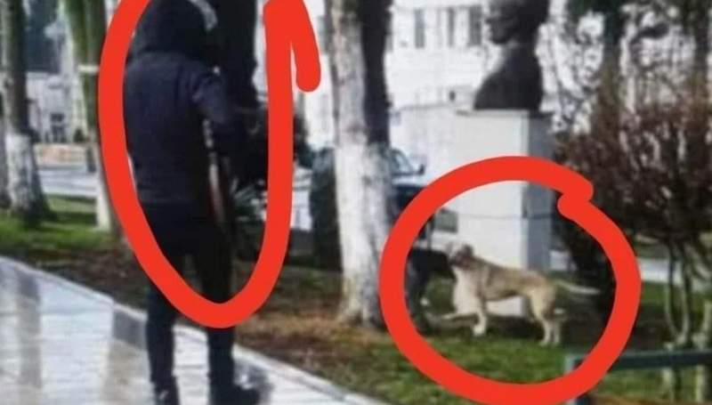 Shooting of stray dogs in Macedonia