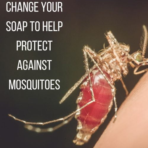 Change your soap to repel mosquitoes? Michael Broad