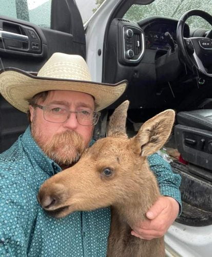 Mark Skage rescued a moose calf and it cost him his job