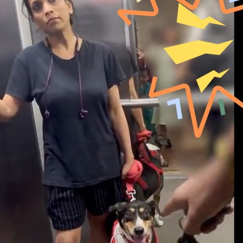 Woman harassed in lift for not putting a mask on her dog