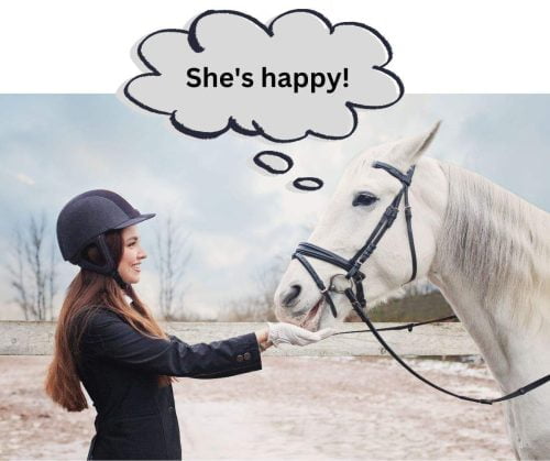 Horses recognise when we are happy or sad