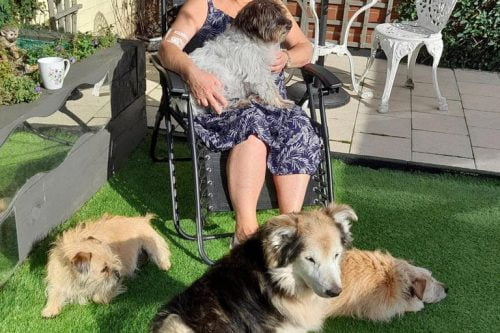 Wendy Hayes and her rescue dogs.
