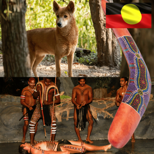 Australia's traditional First Peoples buried pet dingoes