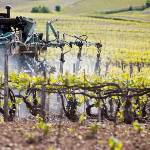 Glyphosate insecticides used on vineyards can predispose kids to leukaemia if they live nearby