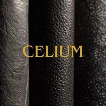 Celium is a 100 per cent bio-based 'leather'