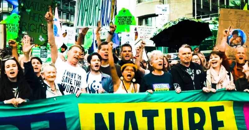 Chris Packham's successful march in central London to bring to the attention of the future government the need to do much more to protect the country's biodiversity.