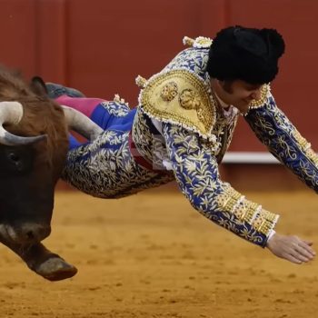 Matador gored up the bum
