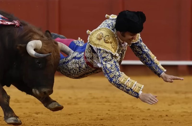 Celebrated matador 'stabbed' up the arse by bull he was fighting